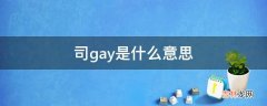 司gay是什么意思?