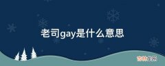 老司gay是什么意思?