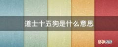 道士十五狗是什么意思?