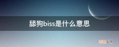 舔狗biss是什么意思?