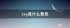 cvy是什么意思?