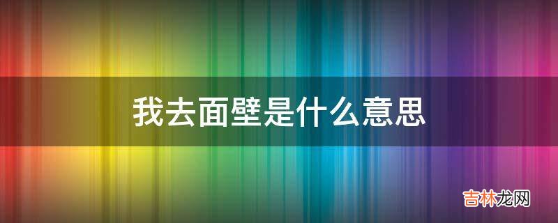 我去面壁是什么意思?