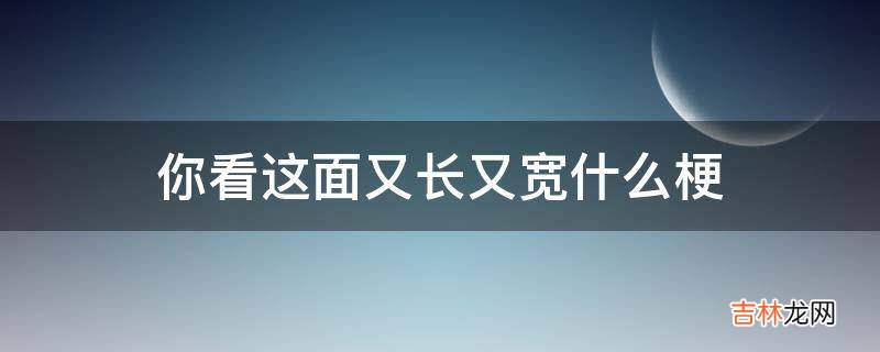 你看这面又长又宽什么梗?