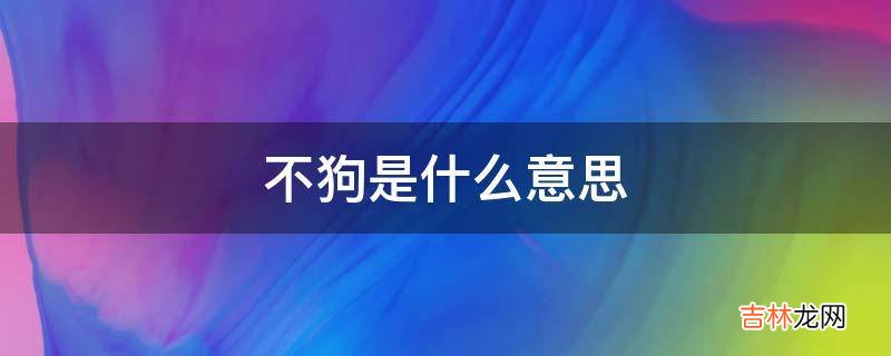 不狗是什么意思?