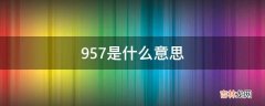 957是什么意思?