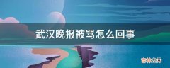 武汉晚报被骂怎么回事?