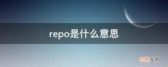 repo是什么意思?