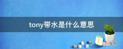 tony带水是什么意思?