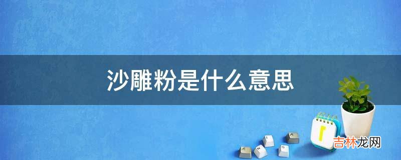 沙雕粉是什么意思?