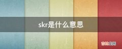 skr是什么意思?