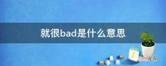 就很bad是什么意思?