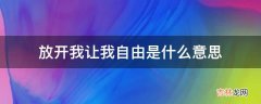 放开我让我自由是什么意思?