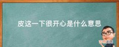 皮这一下很开心是什么意思?