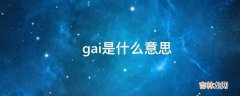 ?gai是什么意思?