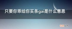 只要你乖给你买条gai是什么意思?