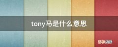 tony马是什么意思?