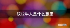 双12牛人是什么意思?