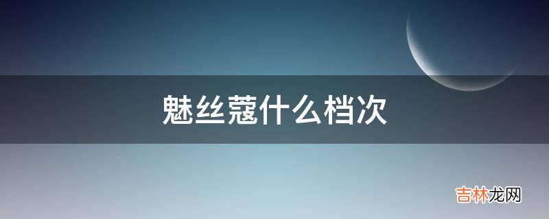魅丝蔻什么档次?