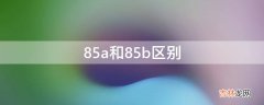 85a和85b区别?