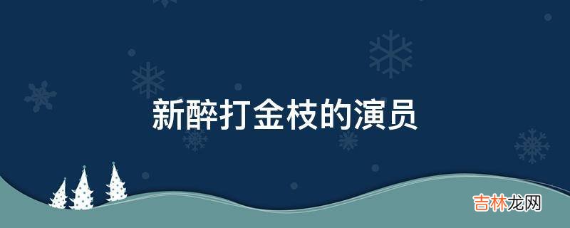 新醉打金枝的演员?