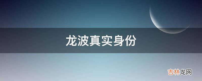 龙波真实身份?