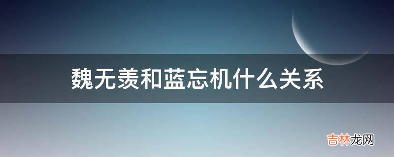 魏无羡和蓝忘机什么关系?