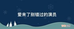 爱来了别错过的演员?