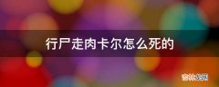 行尸走肉卡尔怎么死的?