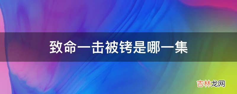 致命一击被铐是哪一集?