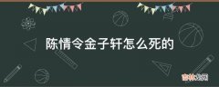 陈情令金子轩怎么死的?