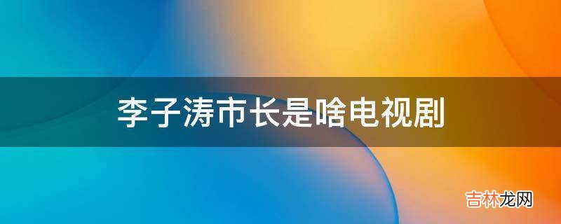 李子涛市长是啥电视剧?