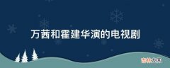 万茜和霍建华演的电视剧?