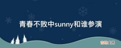 青春不败中sunny和谁参演?