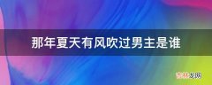 那年夏天有风吹过男主是谁?