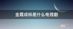 金霞成标是什么电视剧?