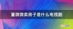 董微微卖房子是什么电视剧?