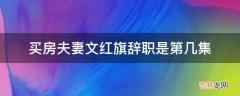 买房夫妻文红旗辞职是第几集?