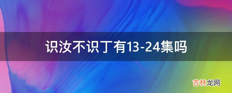 识汝不识丁有13-24集吗?