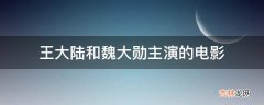 王大陆和魏大勋主演的电影?