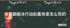 电视剧破冰行动赵嘉良是怎么死的?