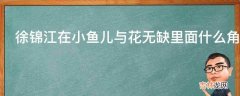 徐锦江在小鱼儿与花无缺里面什么角色?