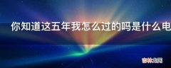 你知道这五年我怎么过的吗是什么电影?