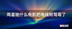 周星驰什么电影把电线树骂弯了?