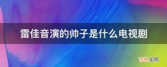 雷佳音演的帅子是什么电视剧?