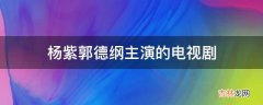 杨紫郭德纲主演的电视剧?