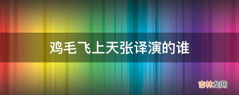 鸡毛飞上天张译演的谁?