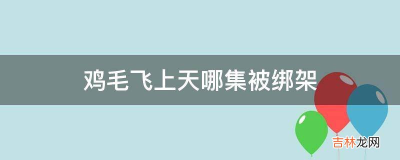 鸡毛飞上天哪集被绑架?