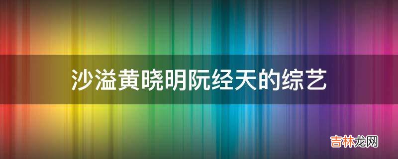 沙溢黄晓明阮经天的综艺?