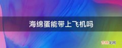 海绵蛋能带上飞机吗?