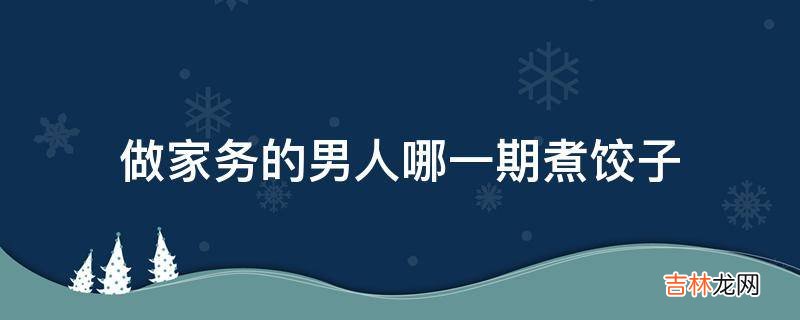 做家务的男人哪一期煮饺子?